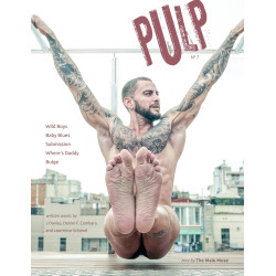 The Male Muse Livre photo PULP n°7